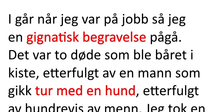 Han ser en mann bære to kister og gå tur med en hund. Grunnen? Jeg ler så tårene triller!