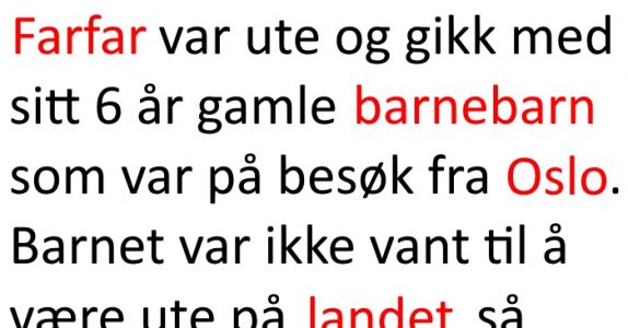 Farfar skal vise fram landsbygda. Det som skjer? Jeg ler så tårene triller!