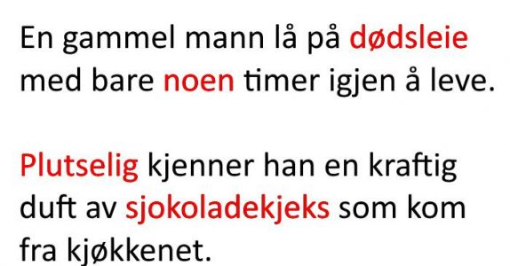 Han ville bare ha seg en nybakt sjokoladekjeks. Konas reaksjon? Jeg ler så tårene triller!