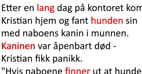 Han finner hunden sin med naboens kanin i munnen. Løsningen? Jeg ler så tårene triller!