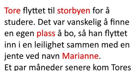 To lysestaker har forsvunnet etter at han hadde moren på besøk. Forklaringen hennes? Jeg ler så tårene spruter!