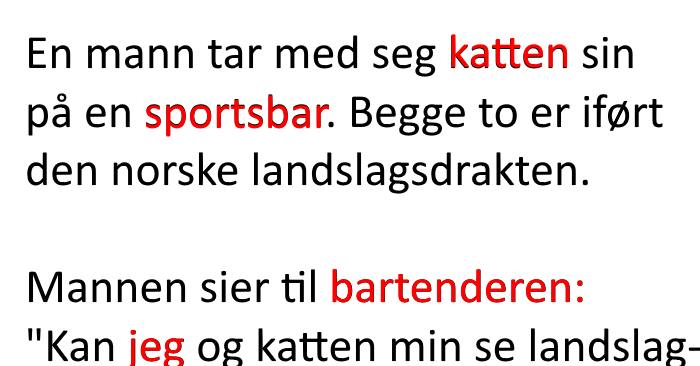 Mannen tar med seg katten på en sportsbar. Reaksjonen når det scores mål? Jeg ler meg ihjel!