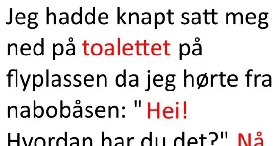 Han begynte å snakke med mannen i nabobåsen. Det som skjedde? Jeg ler så tårene spruter!