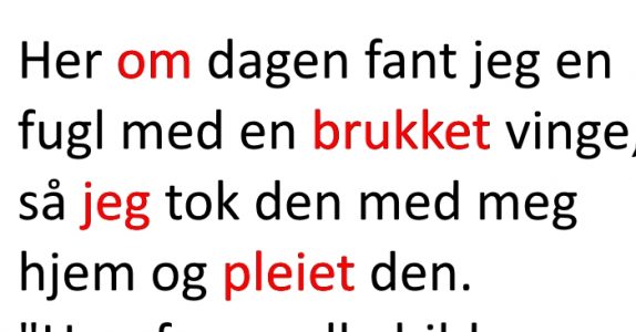 Han har snudd alle bildene i huset feil vei. Årsaken? Jeg ler så tårene triller!