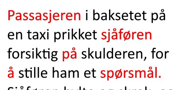 Taxisjåføren var centimeter fra å krasje inn gjennom et butikkvindu. Grunnen? Jeg ler meg ihjel!