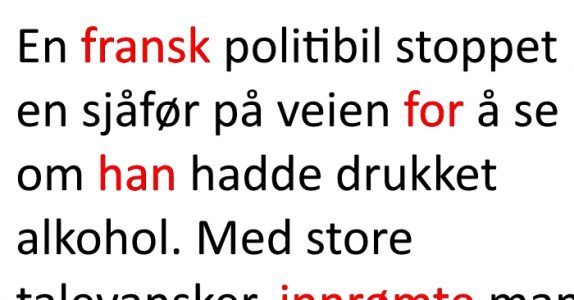 En fransk politimann stoppet en sjåfør for å ta en promilletest. Resultatet? Jeg ler så tårene triller!